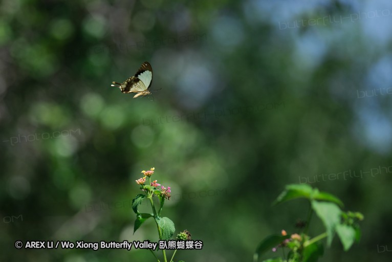 140424_manguzi_019.jpg