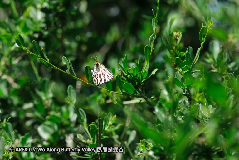 140425_falsebay_068.jpg