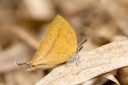 130331_phahompok_070.jpg