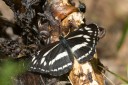 130520_heihe_049.jpg