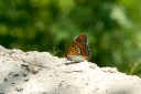 130521_heihe_086.jpg