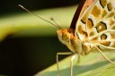 131020_mos_11.jpg