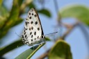 131020_mos_19.jpg