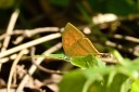 131224_maesa_038.jpg