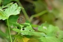 140131_kathu_43.jpg