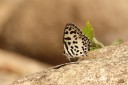 140202_khaosok_042.jpg