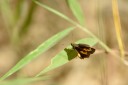 140202_khaosok_062.jpg