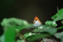 140203_klongnaka_019.jpg