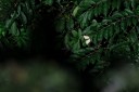 140418_eshowe_043.jpg