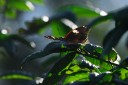 140418_eshowe_047.jpg