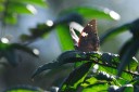 140418_eshowe_048.jpg