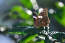 140418_eshowe_050.jpg