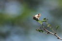 140418_eshowe_120.jpg