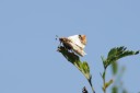 140418_eshowe_122.jpg