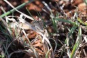 140418_eshowe_171.jpg