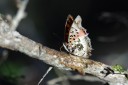 140418_eshowe_173.jpg