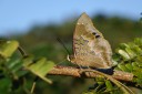140418_eshowe_198.jpg