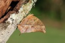 140418_eshowe_220.jpg