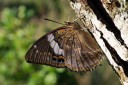 Filename=140418_eshowe_237.jpg
Filesize=572KiB
Dimensions=1920x1282
Date added=May 17, 2014 140418_eshowe_237.jpg