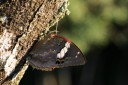 140418_eshowe_240.jpg