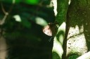 140419_ngoye_066.jpg