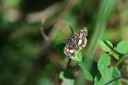 140419_ngoye_113.jpg