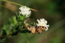 140419_ngoye_118.jpg