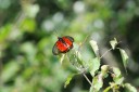 140420_hjohnson_019.jpg