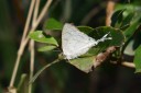 140420_hjohnson_091.jpg