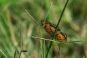 140421_hluhluwe_045.jpg