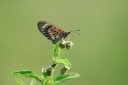 140421_tembe_014.jpg