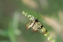 140421_tembe_021.jpg