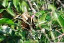 Filename=140422_tembe_034.jpg
Filesize=417KiB
Dimensions=1920x1281
Date added=Jun 04, 2014 140422_tembe_034.jpg