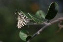 140422_tembe_056.jpg