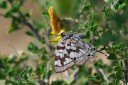 140422_tembe_075.jpg