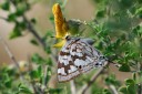 140422_tembe_076.jpg