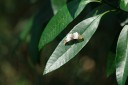 140422_tembe_094.jpg