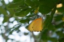 140422_tembe_121.jpg