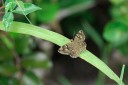 140424_tembe_009.jpg