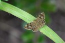 140424_tembe_010.jpg