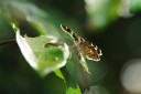 140424_tembe_012.jpg