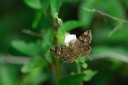140424_tembe_015.jpg