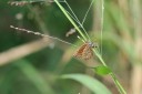 140424_tembe_024.jpg