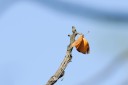 140424_tembe_035.jpg