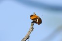 140424_tembe_036.jpg