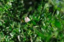 Filename=140425_falsebay_068.jpg
Filesize=432KiB
Dimensions=1920x1282
Date added=Jun 16, 2014 140425_falsebay_068.jpg