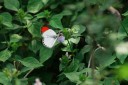 140425_falsebay_069.jpg