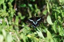 140425_falsebay_084.jpg