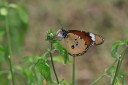 140425_falsebay_101.jpg