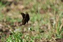 140425_falsebay_123.jpg